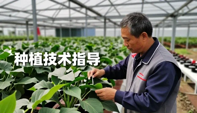 江苏和安源饲料有限公司打造适用于户外场地的江苏